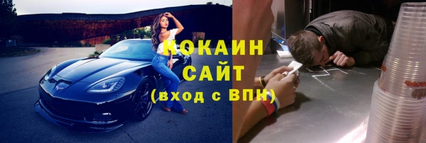 гидра Михайловск
