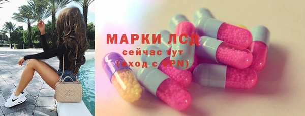 гидра Михайловск