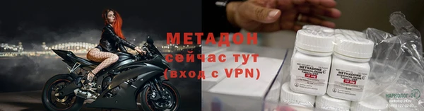 гидра Михайловка