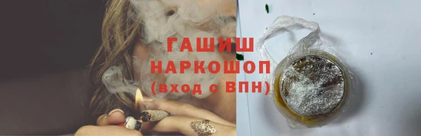 гидра Михайловка
