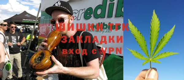 тгк Медвежьегорск