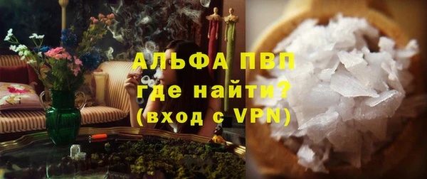 гидра Михайловка