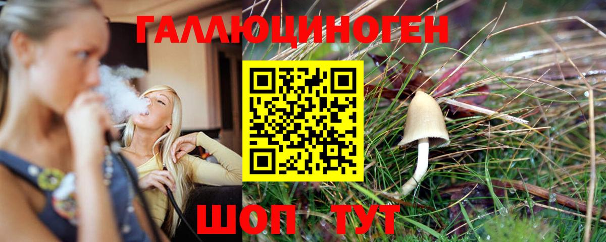 Петровск  Псилоцибиновые грибы прущие грибы  Вход с VPN  Псилоцибиновые грибы мицелий 